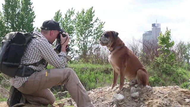 Cinemagraph - Photographer takes pictures of boxer dog.