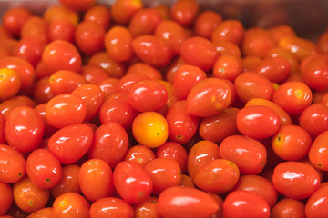 Close up of small tomatoes pile without leaves that look shine on there scale