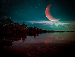 Beautiful red crescent and cloudy above silhouettes of trees, lake area.