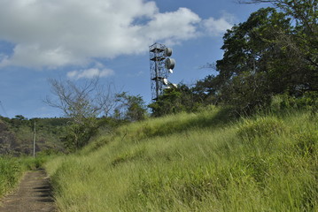Obraz premium path in a field