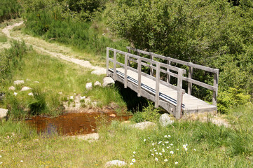 Passage au sec sur le lac des Pises