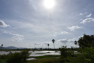 Fototapeta premium カンボジアの田舎の風景
