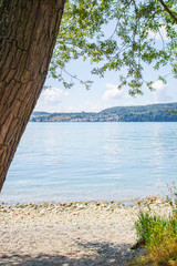 Natural beauty of the german Bodensee