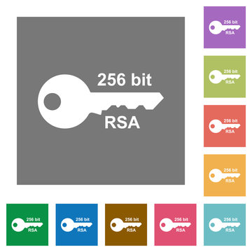 256 Bit Rsa Encryption Square Flat Icons