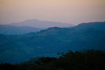 Coffee country landscape at sunset