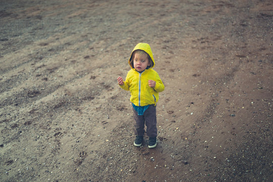 Little toddler walking on the beach in winter