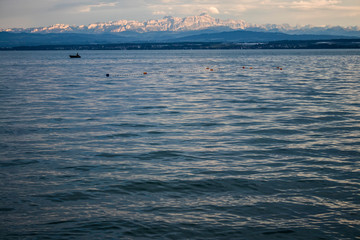 Obraz premium Bodensee lake sunset with view on the Alps mountains