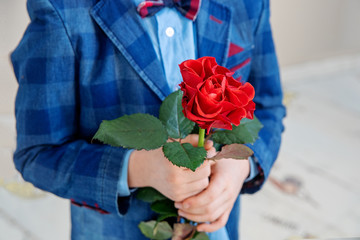 Little boy in suit standing with red rose, isolated on a light background