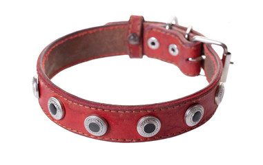 leather red dog collar