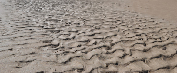 footprints in the sand
