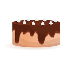 Chocolate cake icon. Cartoon of chocolate cake vector icon for web design isolated on white background