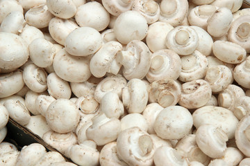 background of fresh whole mushrooms, closeup