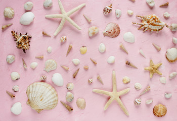 Fototapeta na wymiar Sea shells and starfish pattern on pink background. Travel, vacation, tourism concept, Summer background
