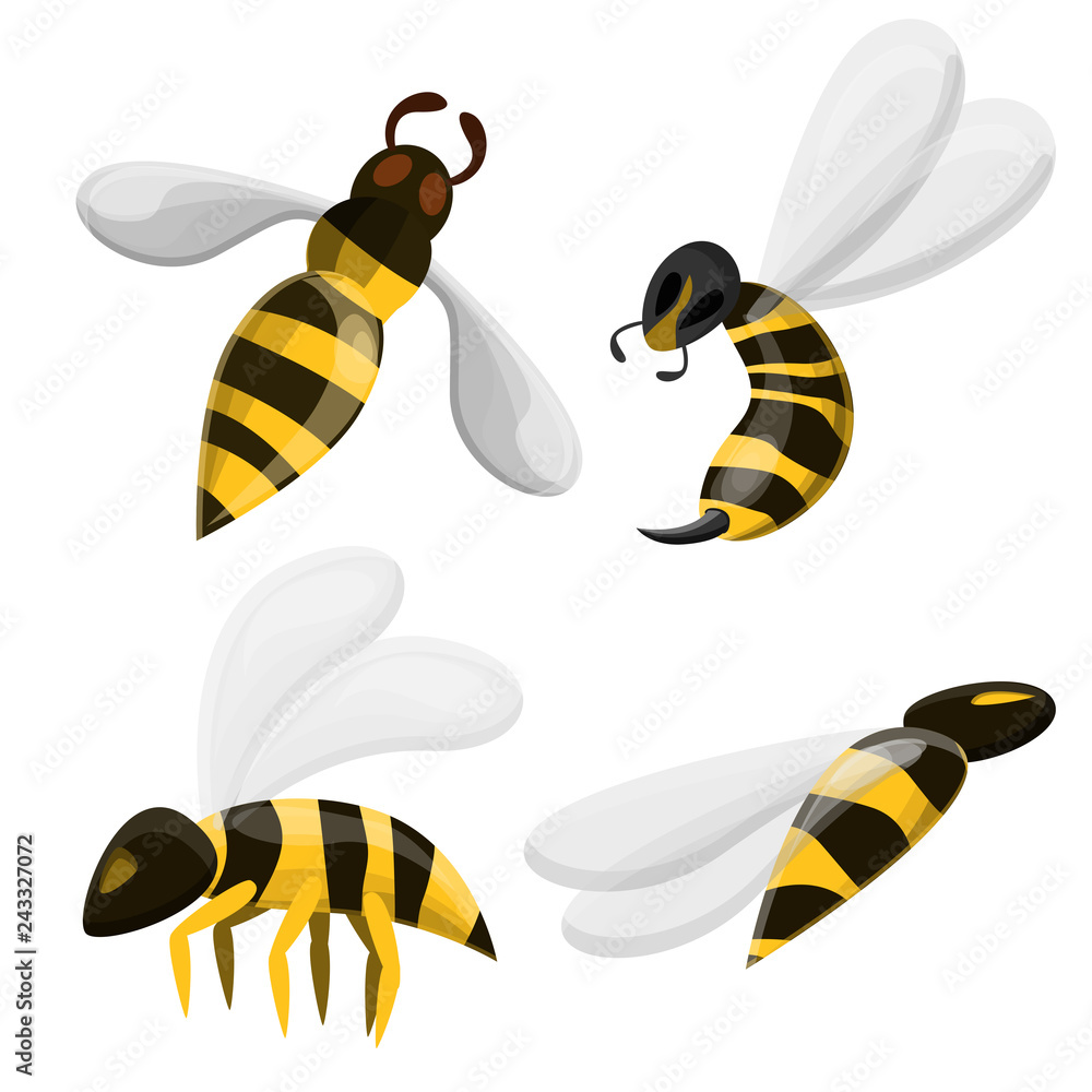 Poster wasp icons set. cartoon set of wasp vector icons for web design