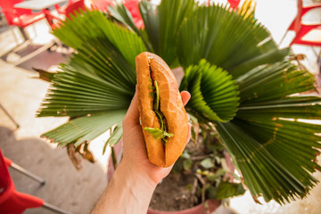 Vietnamese sandwich or Banh Mi