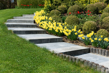Frühling, Garten, Blumen, Gartenweg