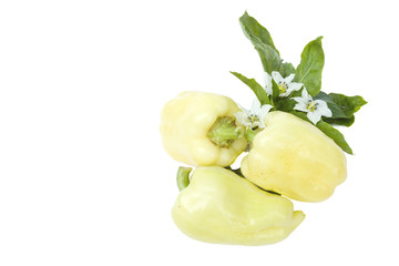 Yellow sweet pepper with leaves and flowers isolated on a white background.space for your text.Top view