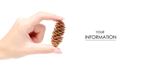 Cones brown forest in hand pattern on white background isolation