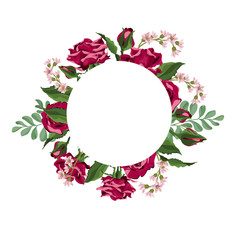 Vector designer elements set collection of roses