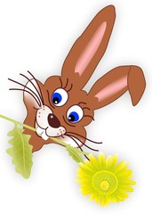 Osterhase mit gelber Gerbera