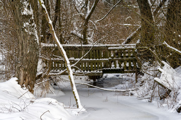 Zima w Narwiańskim Parku Narodowym © podlaski49