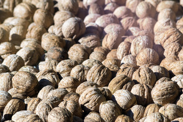 Whole walnuts in shell