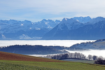 Plakat Aussicht von Längenberg, Berner Alpen, Schweiz 
