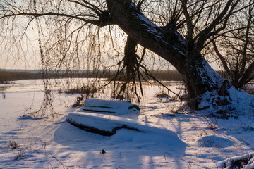 Zima w Narwiańskim Parku Narodowym © podlaski49