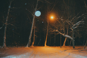 Fototapeta premium winter road in the forest in the evening