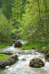 Diamond Creek, Uinta-Wasatch-Cache National Forest, Spanish Fork Canyon, Utah - trail to hot springs