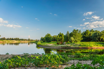 Fototapeta premium a herd of horses grazing on the river Bank