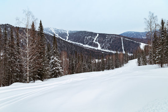 Winter landscape in Gornaya Shoria. Russia, Kemerovo region, Sheregesh ski resort, sector E. Freeride.