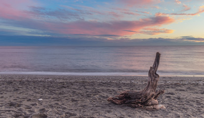 Nerja, Malaga, Andalusi, Spain - November 23, 2018: Old tree trunk stranded on a beach in a beautiful sunset