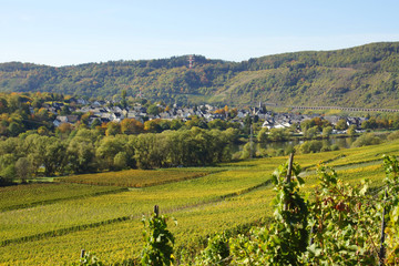 Fototapeta premium Moseltal mit Pünderich im Herbst 