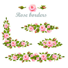  rose flower
