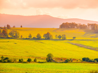 Fototapeta premium Landscape of Sumava meadows, Southern Bohemia, Czech Republic