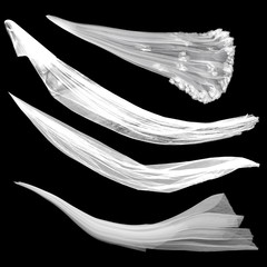 Veil on the black ba ckground