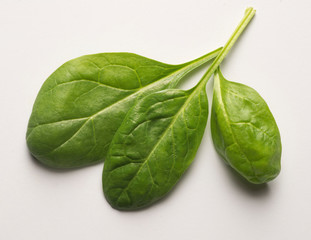 three spinach leaves on a light background
