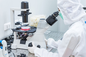 A scientist in sterile coverall gown looking cell morphology of cell culture under microscope.