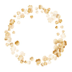Gold seashells vector, golden pearl bivalved mollusks