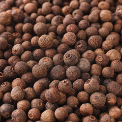 Jamaican pepper closeup