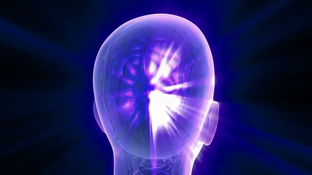 science anatomy scan of human brain glowing with yellow