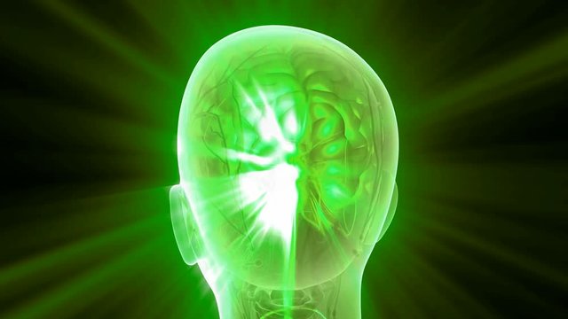 science anatomy scan of human brain glowing with yellow