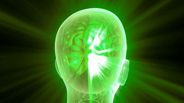 science anatomy scan of human brain glowing with yellow