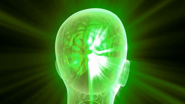 science anatomy scan of human brain glowing with yellow