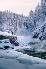 Woman hiking in winter river landscape