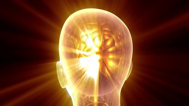 science anatomy scan of human brain glowing with yellow