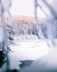 Ice snowy winter river