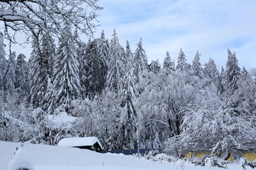 Winterlandschaft