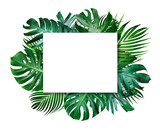 Summer tropical leaves and blank frame with copy space on white background